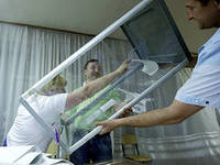 ЦИК обработала 96,1% протоколов. Порошенко набирает 54,5% голосов избирателей